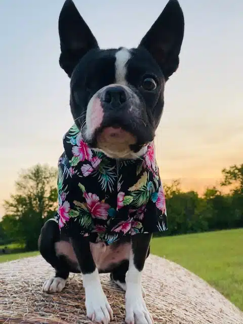 Therapy Services LLC - Preview